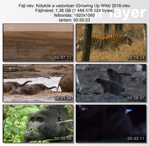 [Kép: -jqUSrgoFOARZp8iB2vOCw.jpg]