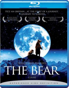 The.Bear.1988.Remastered.BDrip.HUN.x264-DenZo - borítókép