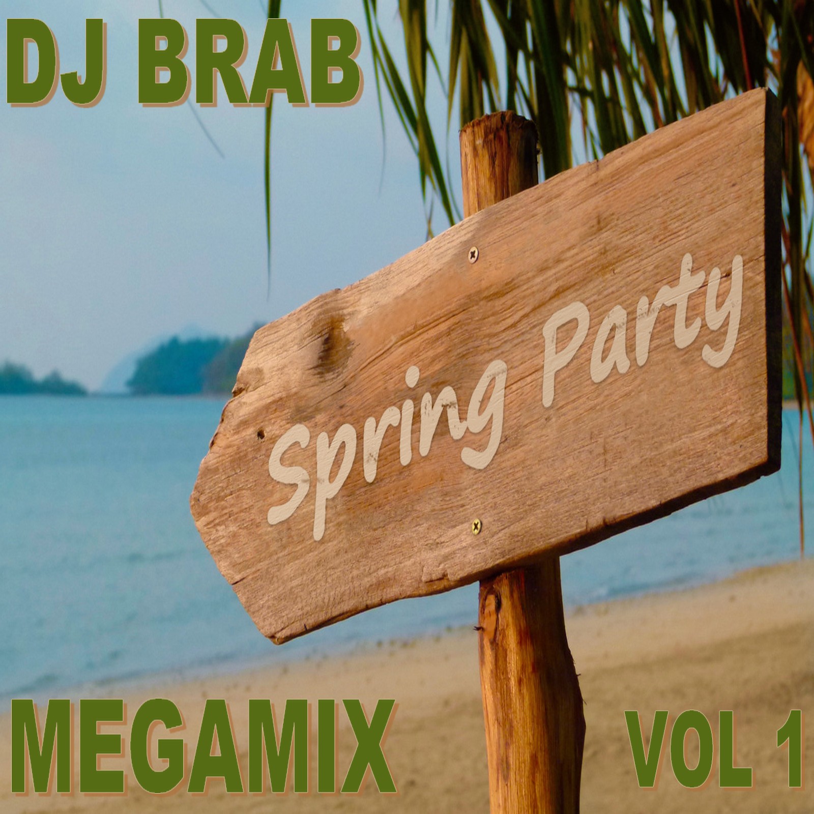 DJ Brab Spring Party Megamix Vol 1 3788_f9a07af83781