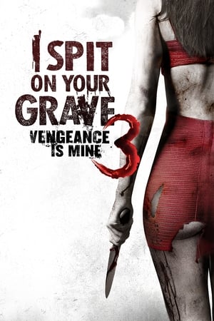 I.Spit.on.Your.Grave.3.Vengeance.is.Mine.2015.BDRip.XviD.HUNSUB-PrEsToN - borítókép