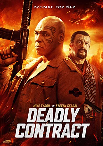 China.Salesman.2017.CUSTOM.HUN.BDRiP.XviD-Gianni - borítókép