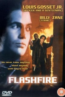 Flashfire.1994.CUSTOM.DVDRiP.HUN.XViD-TiGeR - borítókép