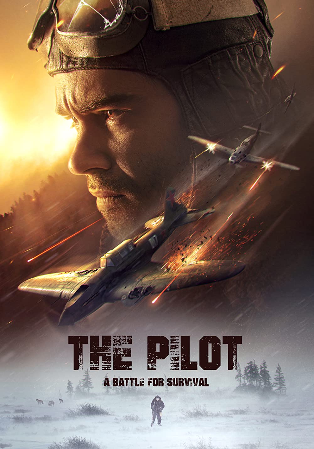 The Pilot A Battle for Survival.2022.BRRip.XviD.AC3-EVO - borítókép