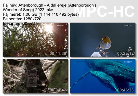 Attenborough: A dal ereje (Attenborough's Wonder of Song) 2022 720p WEB-DL H264 Hun mkv  6454_c44177216b91