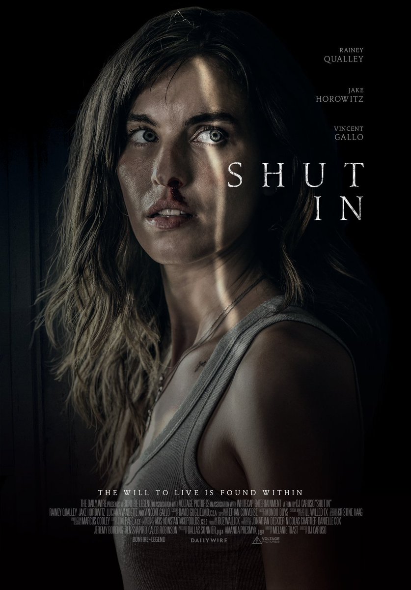 Shut.In.2022.WEBRip.x264-FSR - borítókép