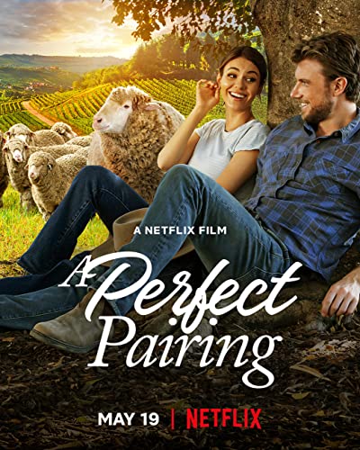 A.Perfect.Pairing.2022.PROPER.NF.WEBRip.x264.HUN-FULCRUM - borítókép