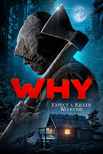 Why.2021.720p.BluRay.H264.AAC.HUNSUB-D3MON - borítókép