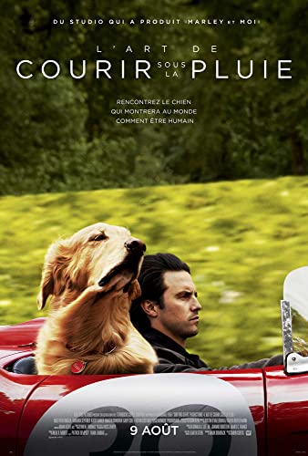 The.Art.of.Racing.in.the.Rain.2019.ReaD.NfO.480p.BluRay.DD5.1.x264.HuN-BaKeR - borítókép