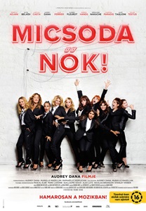 French.Women.2014.BDRip.XviD.HUN-BIG - borítókép