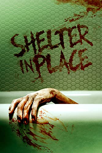 Shelter.in.Place.2021.720p.WEB.x264.HUNSUB-D3MON - borítókép