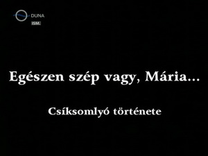 Csiksomlyo.tortenete.2003.DVBRip.XviD.Hun-MrX - borítókép
