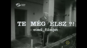 Te.meg.elsz.1990.DVBRip.x264.AC3.Hun-MrX - borítókép