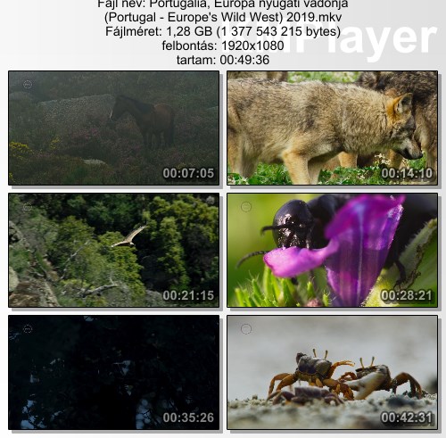 [Kép: AL_UVpC2PtyQMH5ByRaB-w.jpg]