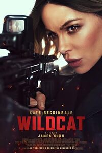 Wildcat.2025.AMZN.WEBRip.x264.HUN-FULCRUM