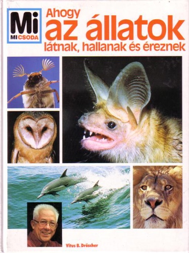 [Kép: G0UGMWqw3J-NUJOW4Uatgg.jpg]