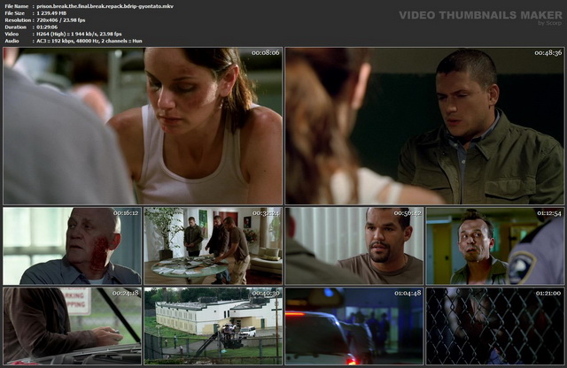 A szabadság ára (Prison Break: The Final Break)2009.REPACK.BDRiP.DD2.0.x264.HUN MTA3MTU0NQ