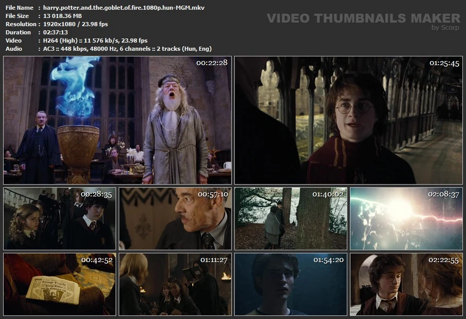 Harry Potter és a Tűz Serlege (Harry Potter and the Goblet of Fire)2005.Open.Matte.1080p.AMZN.WEB-DL.DD.5.1.H.264.HUN MTA5OTAwMA
