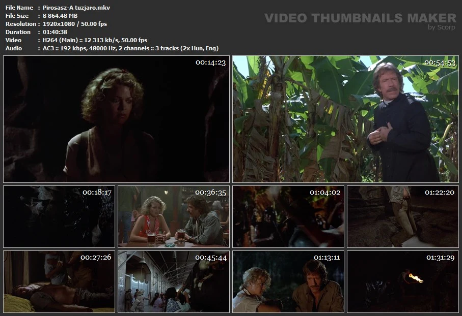 A Tűzjáró (Firewalker)1986.HDTV.1080i.MPEG-4.2XHun MTEwNDg5NA