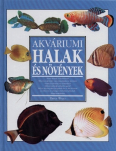 [Kép: MTExMDY1MA.jpg]