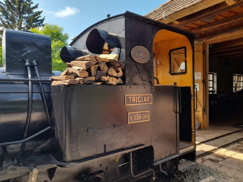 Steam Locomotive - Wood Firing - Elvas Tower