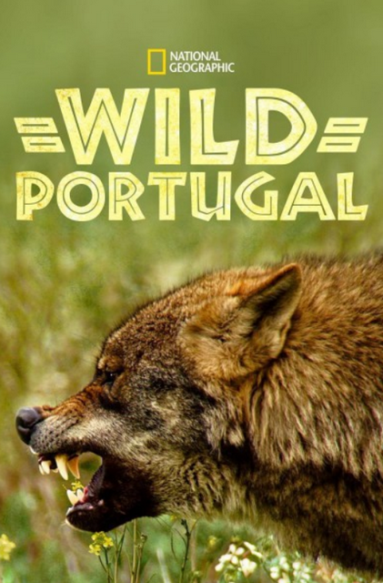 Vad Portugália (Wild Portugal)2020.1080p.DSNP.WEB-DL.DDP5.1.H264.HUN MTIxMTI0NA