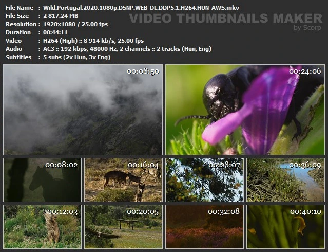 Vad Portugália (Wild Portugal)2020.1080p.DSNP.WEB-DL.DDP5.1.H264.HUN MTIxMTI0NQ