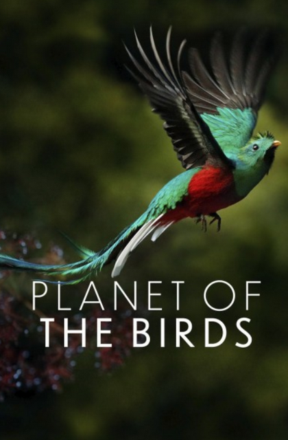 Madarak bolygója (Planet of the Birds)2018.1080p.DSNP.WEB-DL.DDP5.1.H264.HUN MTIxMTIzNw