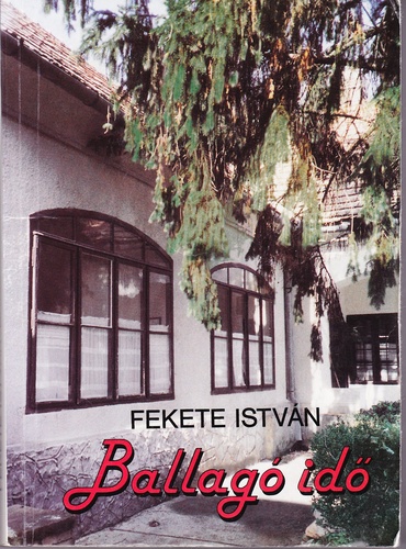 [Kép: MTIxMjgxMw.jpg]