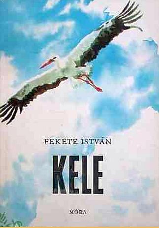 [Kép: MTIxNjI1NA.jpg]