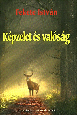 [Kép: MTIxNjQwOQ.jpg]