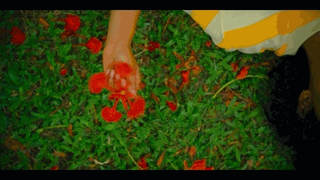 MTg4OTA5MA.gif