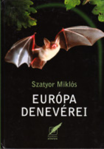 MTgxMzI2Mg.jpg