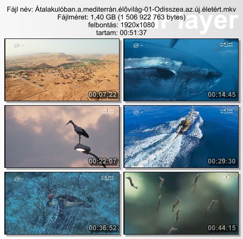MTk0NTM4NA.jpg