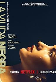 A.Widows.Game.2025.NF.WEBRiP.AAC2.0.x264.HuN-B9R