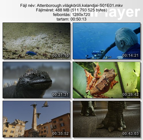 MTk2NjU3NA.jpg
