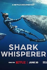 Shark.Whisperer.2025.1080p.NF.WEB-DL.DDP5.1.Atmos.H.264.HUN-FULCRUM - borítókép