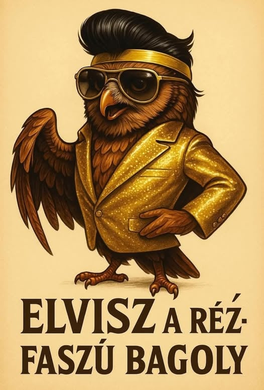 MTkxODAzMg.png