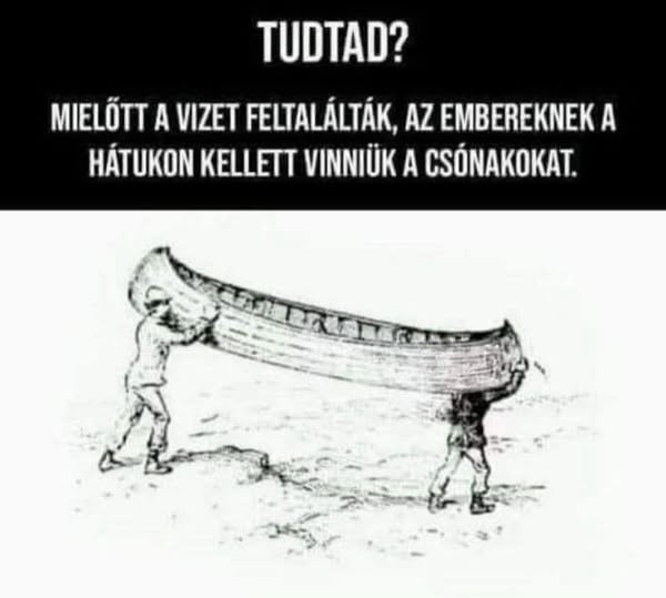 MTkzNjkwOQ.jpg