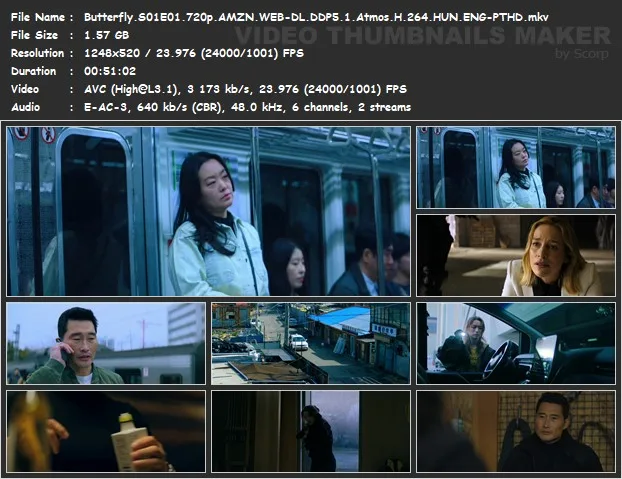 MjA0MTA0Nw.webp