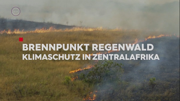 MjA0MzM0NA.jpg