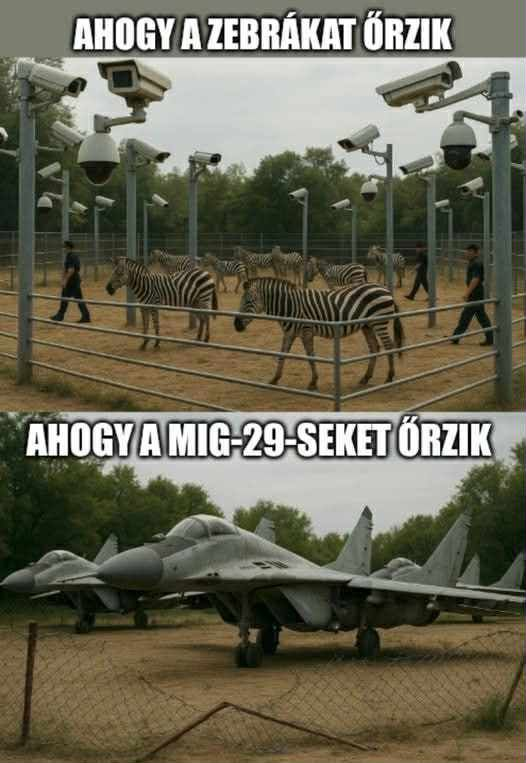 MjA0NDUzNA.png