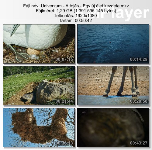 MjAyOTI2NQ.jpg