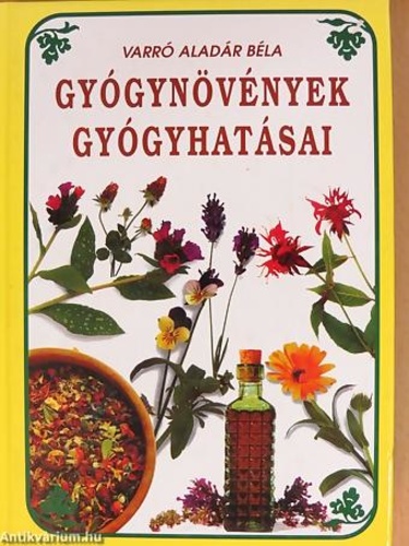 MjAzMjYwNg.jpg