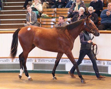 Godolphin A Ma Chere