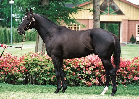 Godolphin Moonlight Dance