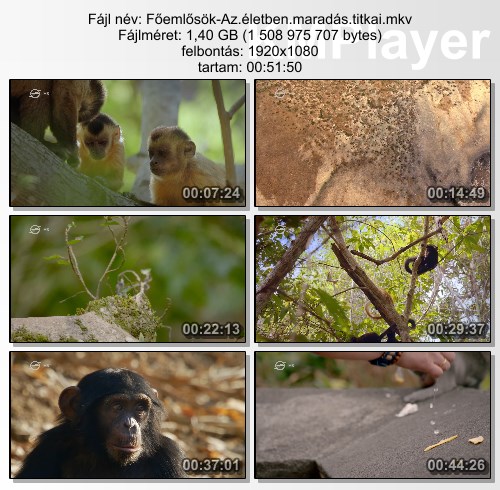 [Kép: MjI0MzQ3OQ.jpg]