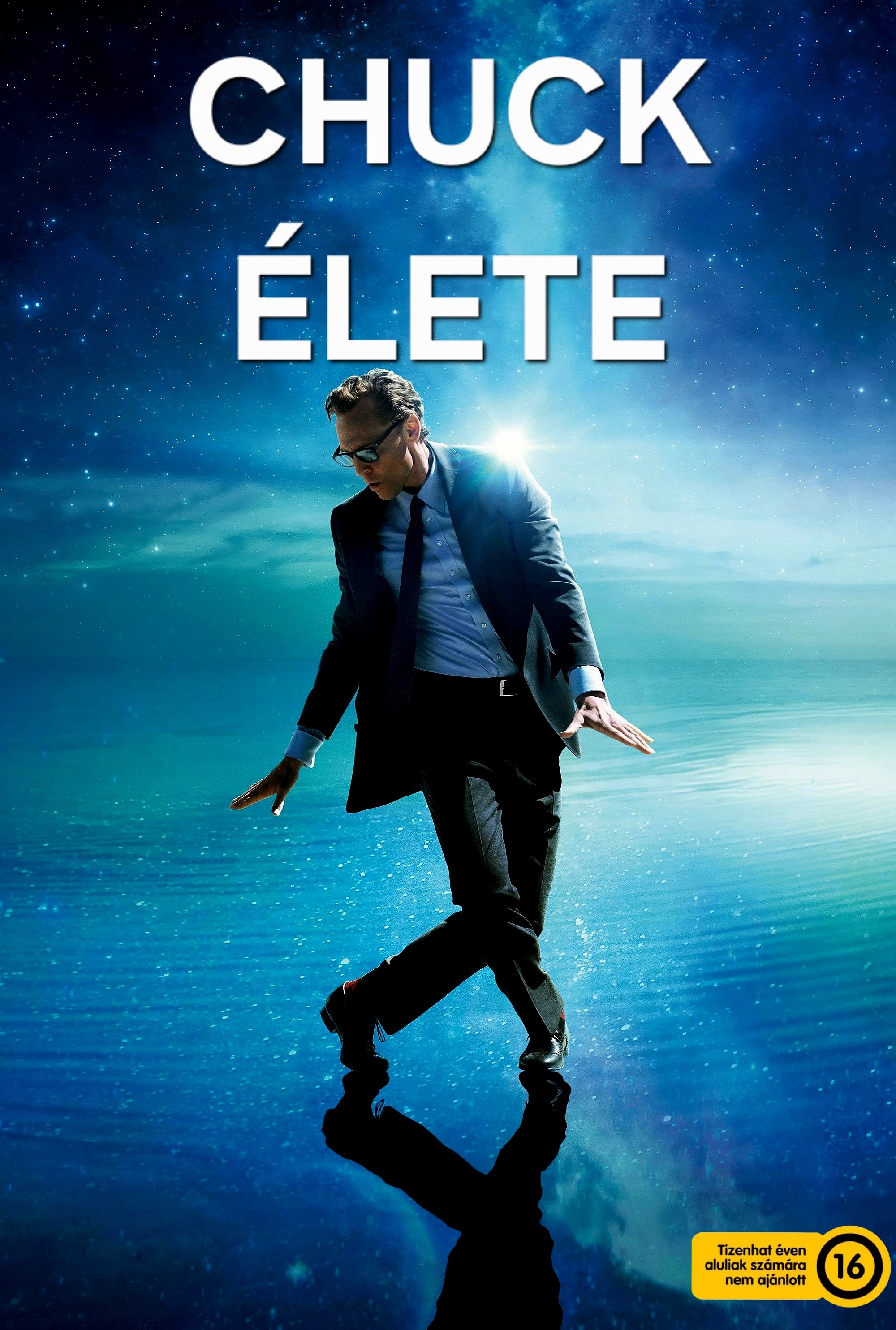 Chuck.elete.2024.720p.WEBRip.x264.HUN