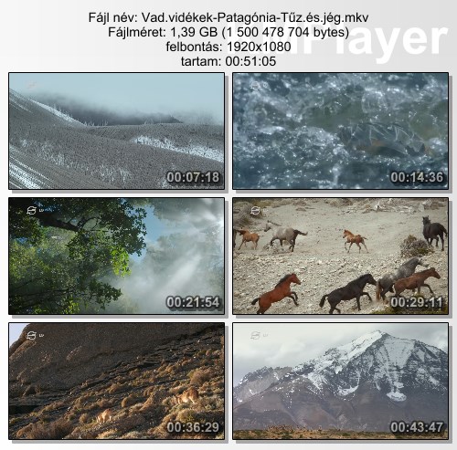 [Kép: MjI0OTAxOQ.jpg]