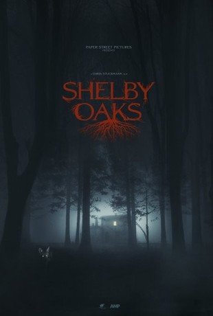 Shelby.Oaks.2024.BDRip.x264.HUN-FULCRUM - borítókép