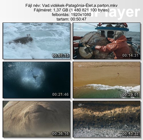 [Kép: MjI1NzYzMQ.jpg]